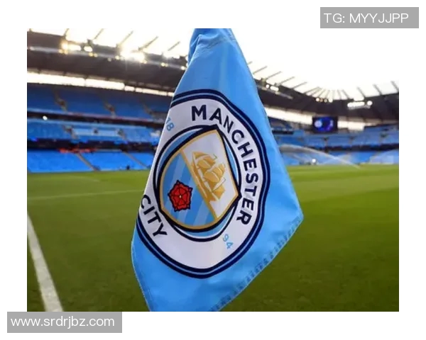 英超联赛因违规行为遭重罚及停赛处罚公告